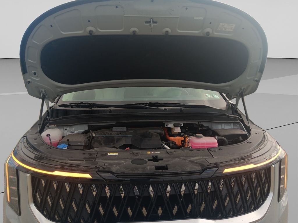 2025 Kia Carnival Hybrid EX