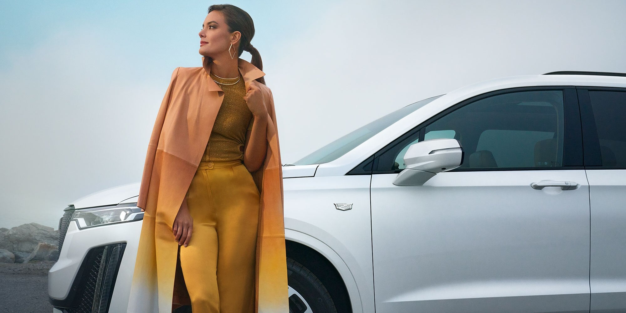 Intuitive Driver Assistance And Protection